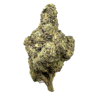 Top Shelf Sherbanger THCa Flower