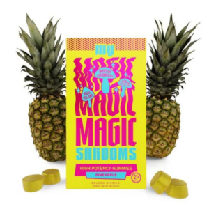 My Magic Shroom Golden Missile Gummies - 1200mg (10ct)