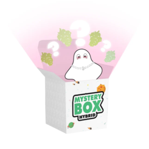 Hybrid E420 Mystery Box